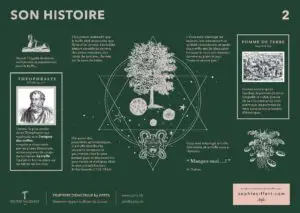 Blog de la truffe vaudoise