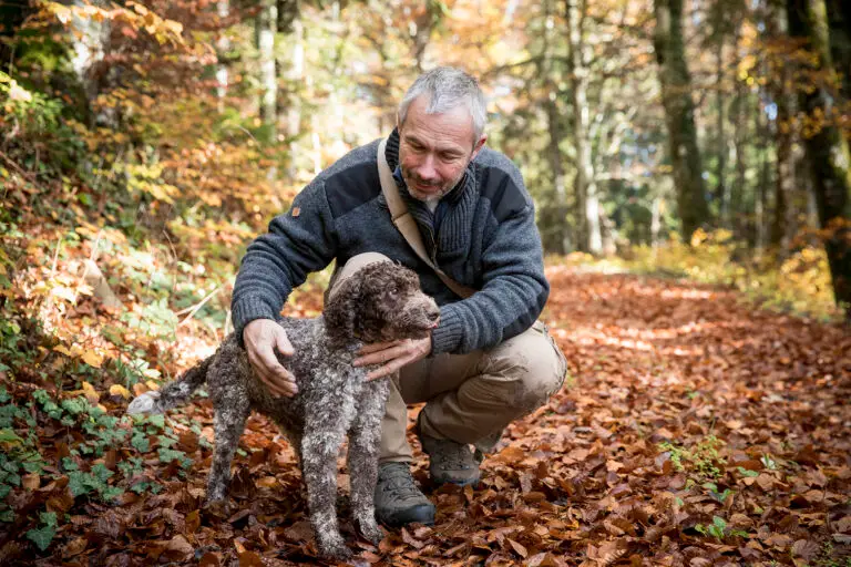région de bonvillars, alain seletto, chercheur de truffes.