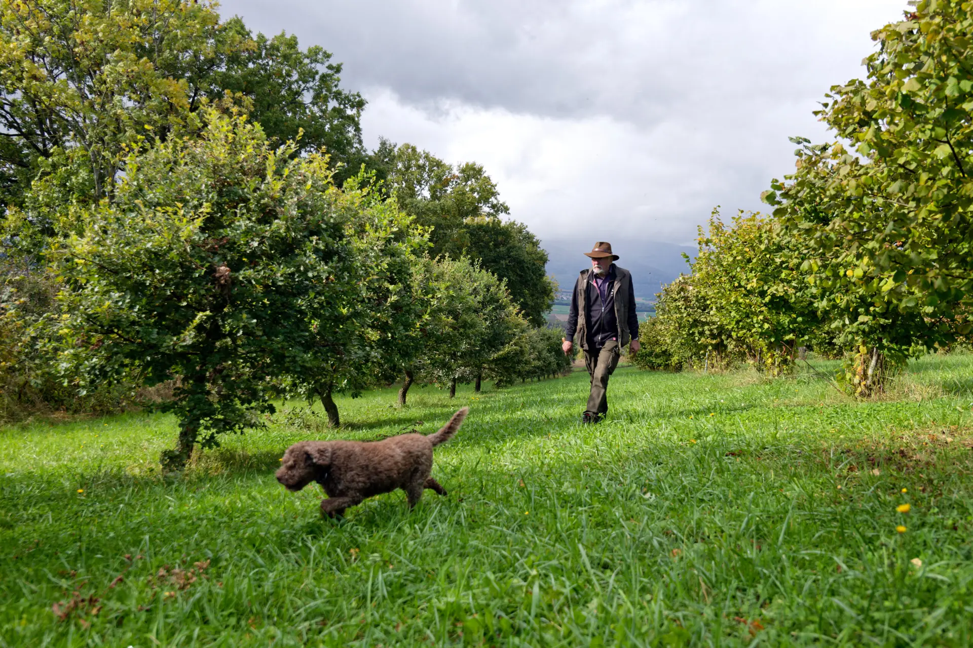 Visite de truffi&egrave;re Nord vaudois