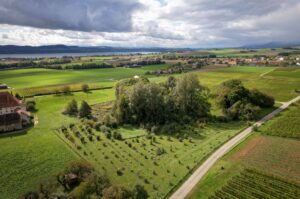 bonvillars 1