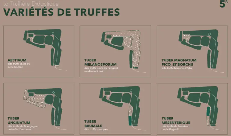 capture d'écran 2025 02 20 144035