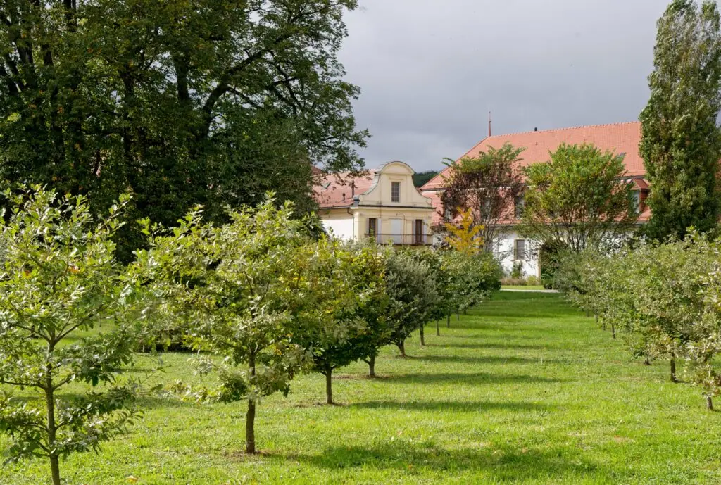 Truffières