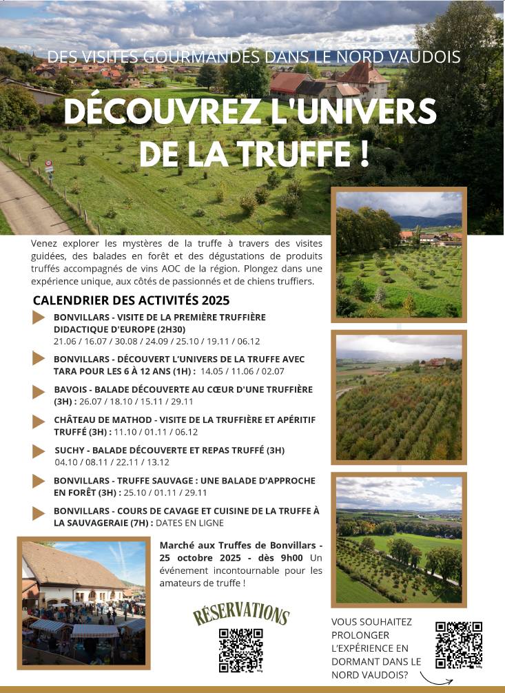 calendrier de la truffe