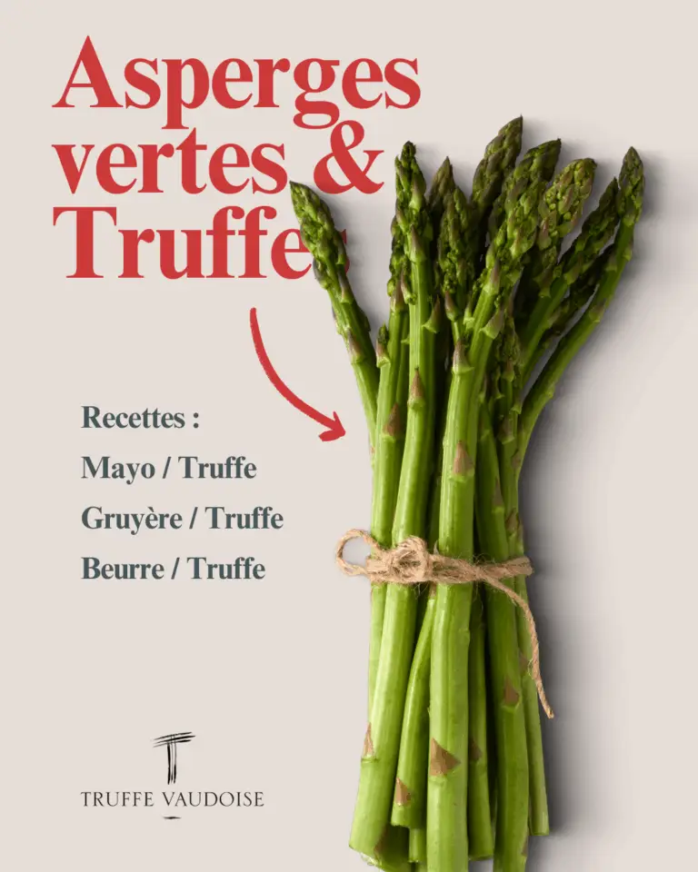 asperges vertes & truffes