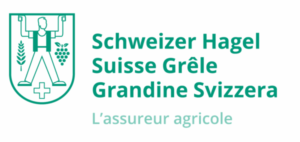 141022 hagel logo mit claim rgb f
