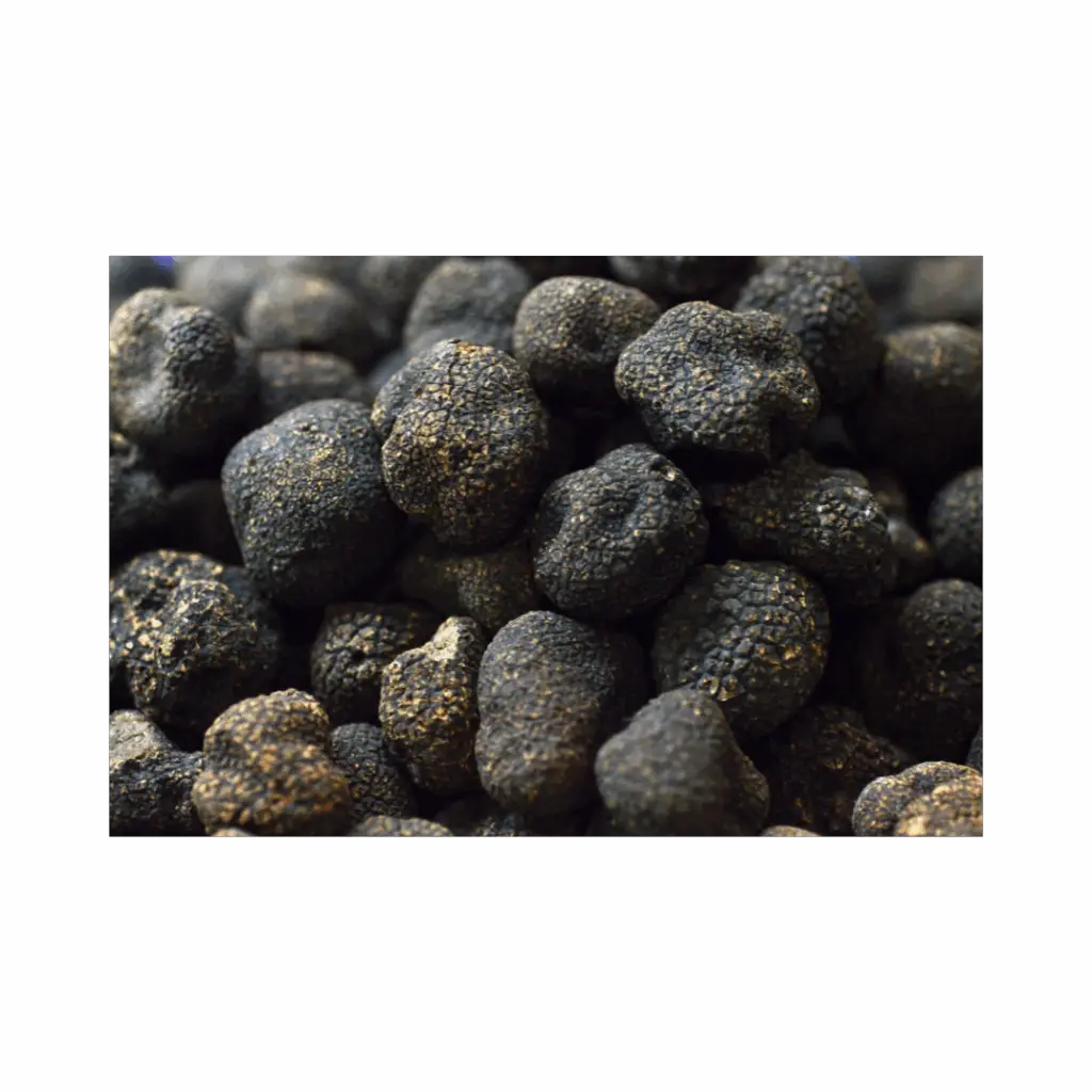 panier truffes