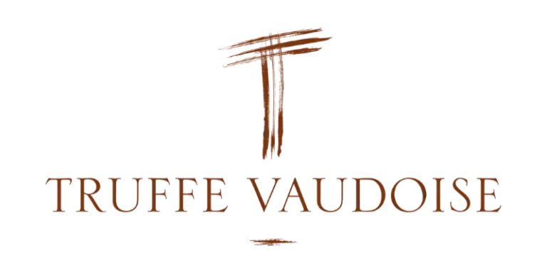 Logo truffe vaudoise