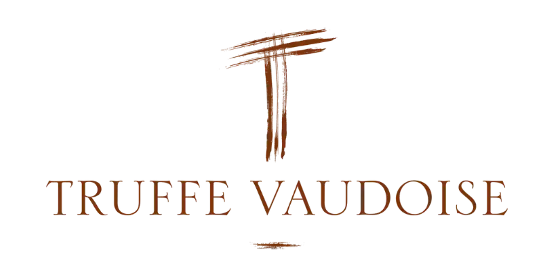Logo truffe vaudoise
