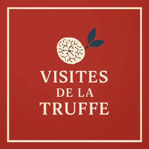 Visite