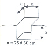 plant2