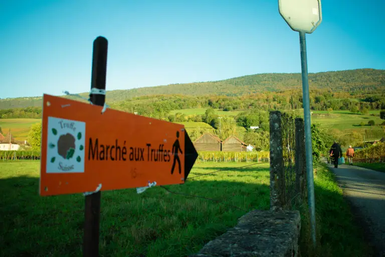 @ADNV_lionel bourgeois