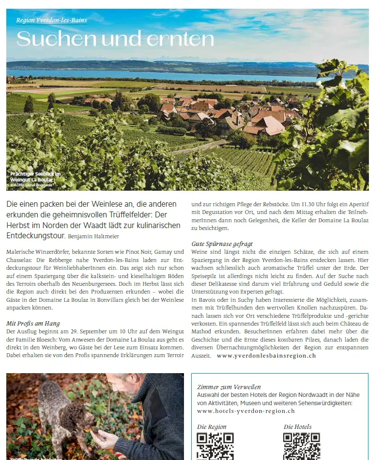 capture d'écran 2025 10 17 164002