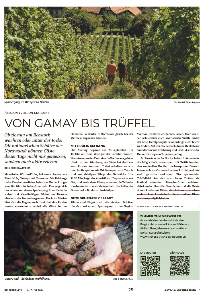 capture d'écran 2025 10 17 170316