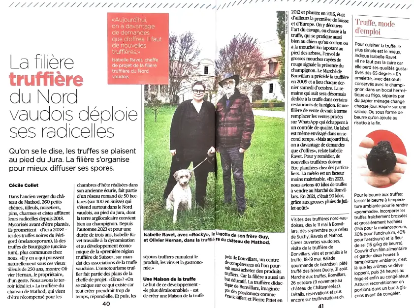 capture d'écran 2025 10 17 172654