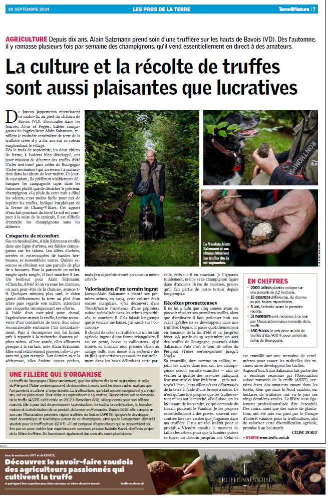 capture d'écran 2025 10 17 173127