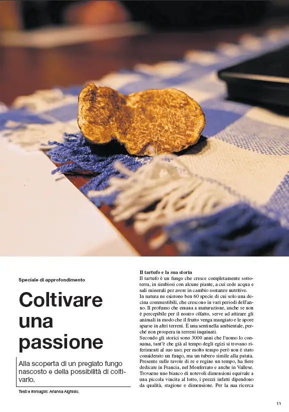 capture d'écran 2025 10 29 181847