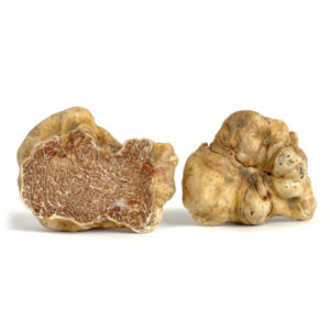 tuber magnatum pico
