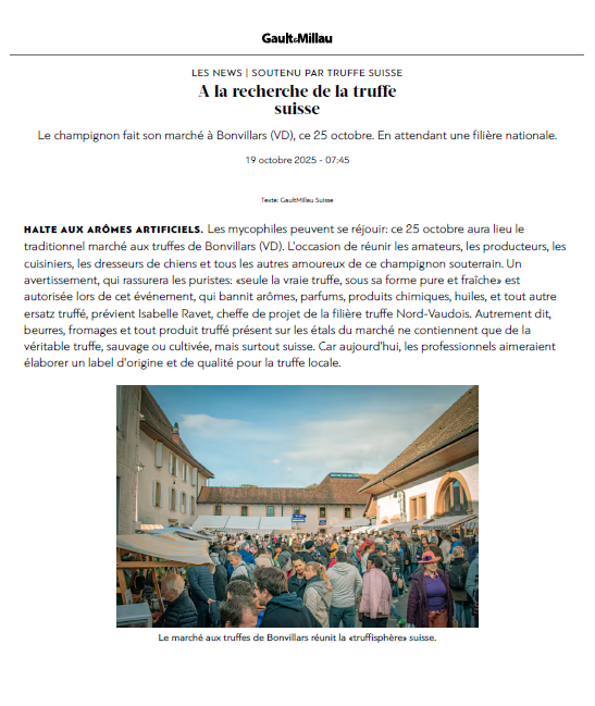 capture d'écran 2026 01 13 154902