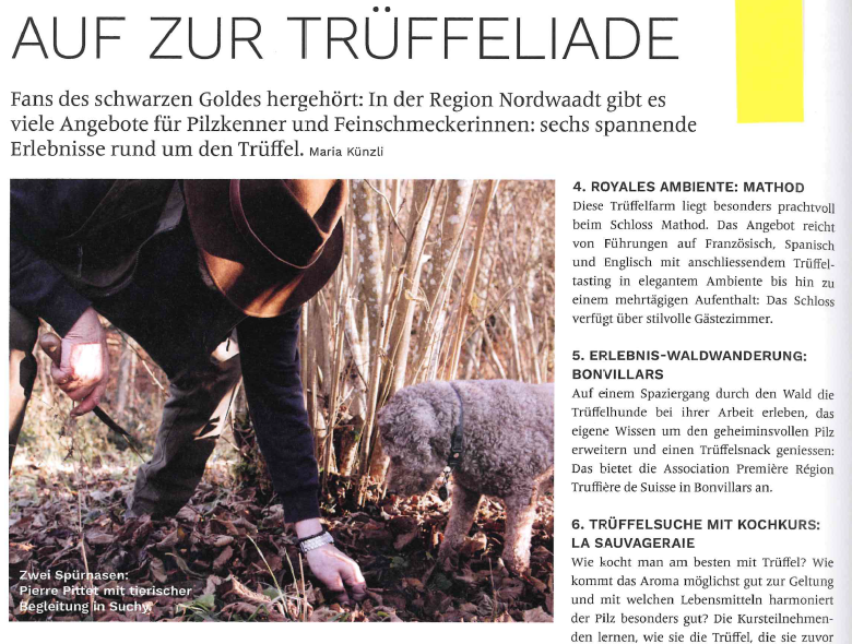 capture d'écran 2026 01 13 161417