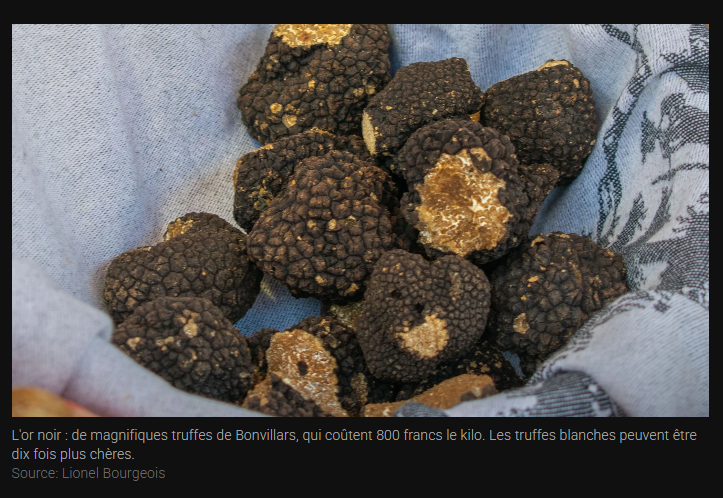 capture d'écran 2026 01 13 163621