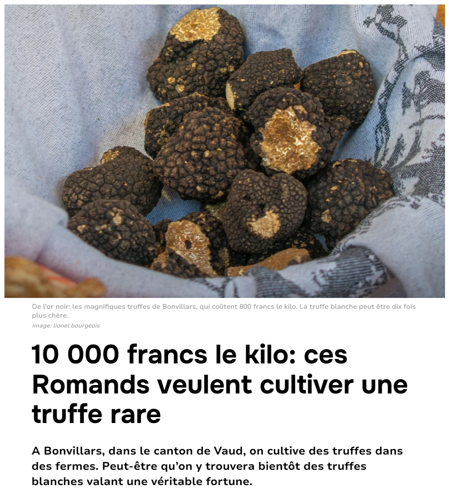 capture d'écran 2026 01 13 164410