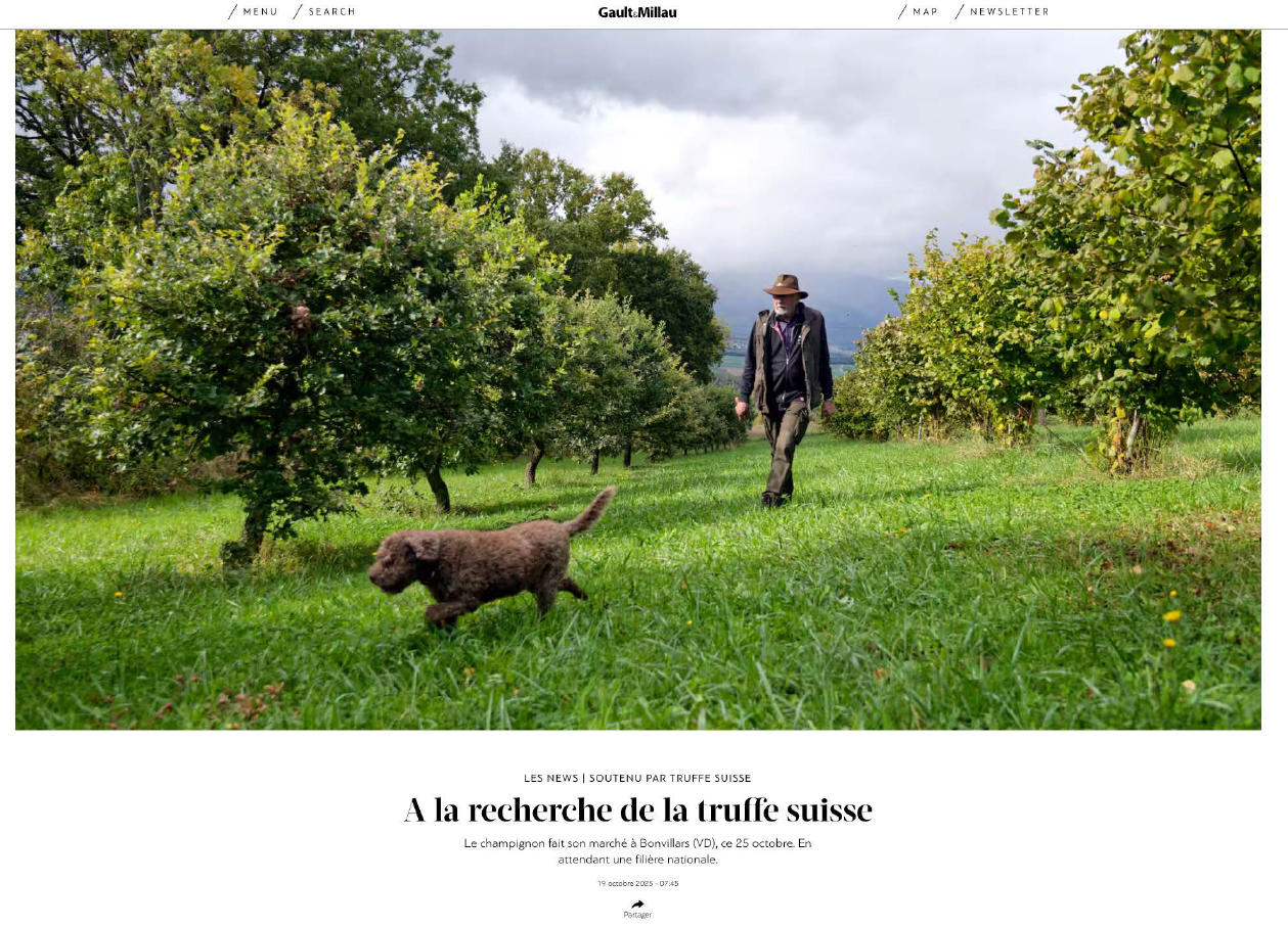 capture d'écran 2026 01 13 165955