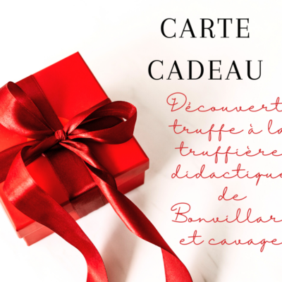 bon cadeau pour une visite de la didactique et cavage