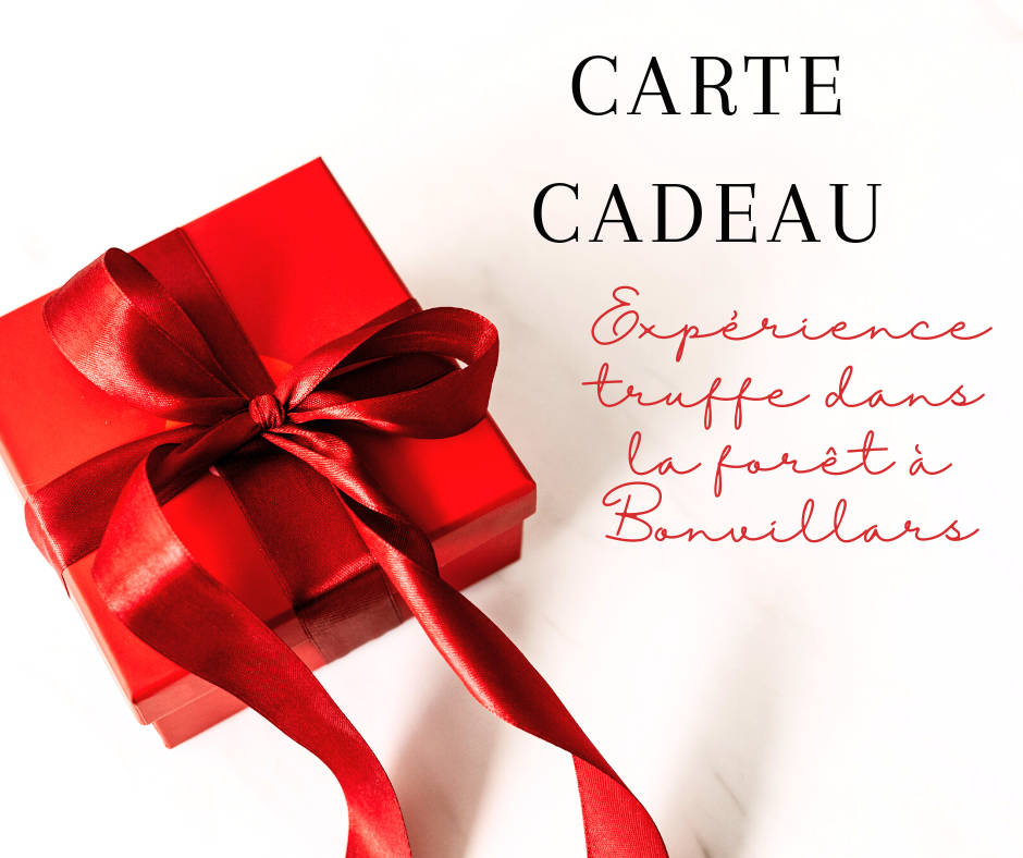 bon cadeau : expérience truffe & feu de bois avec la sauvageraie