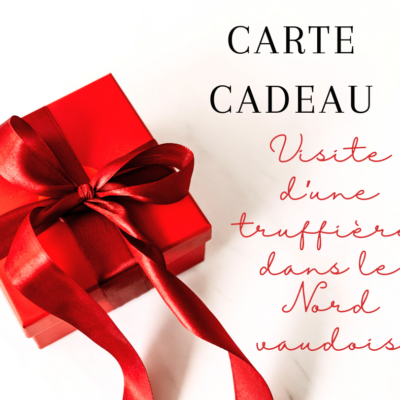 carte cadeau expérience truffe