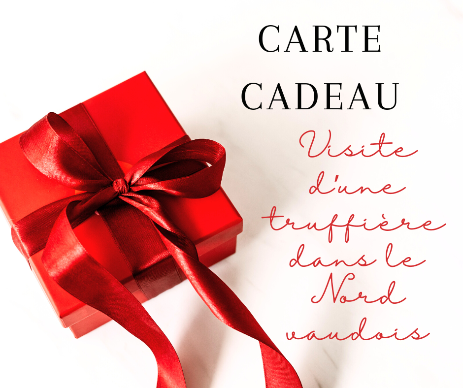 carte cadeau expérience truffe
