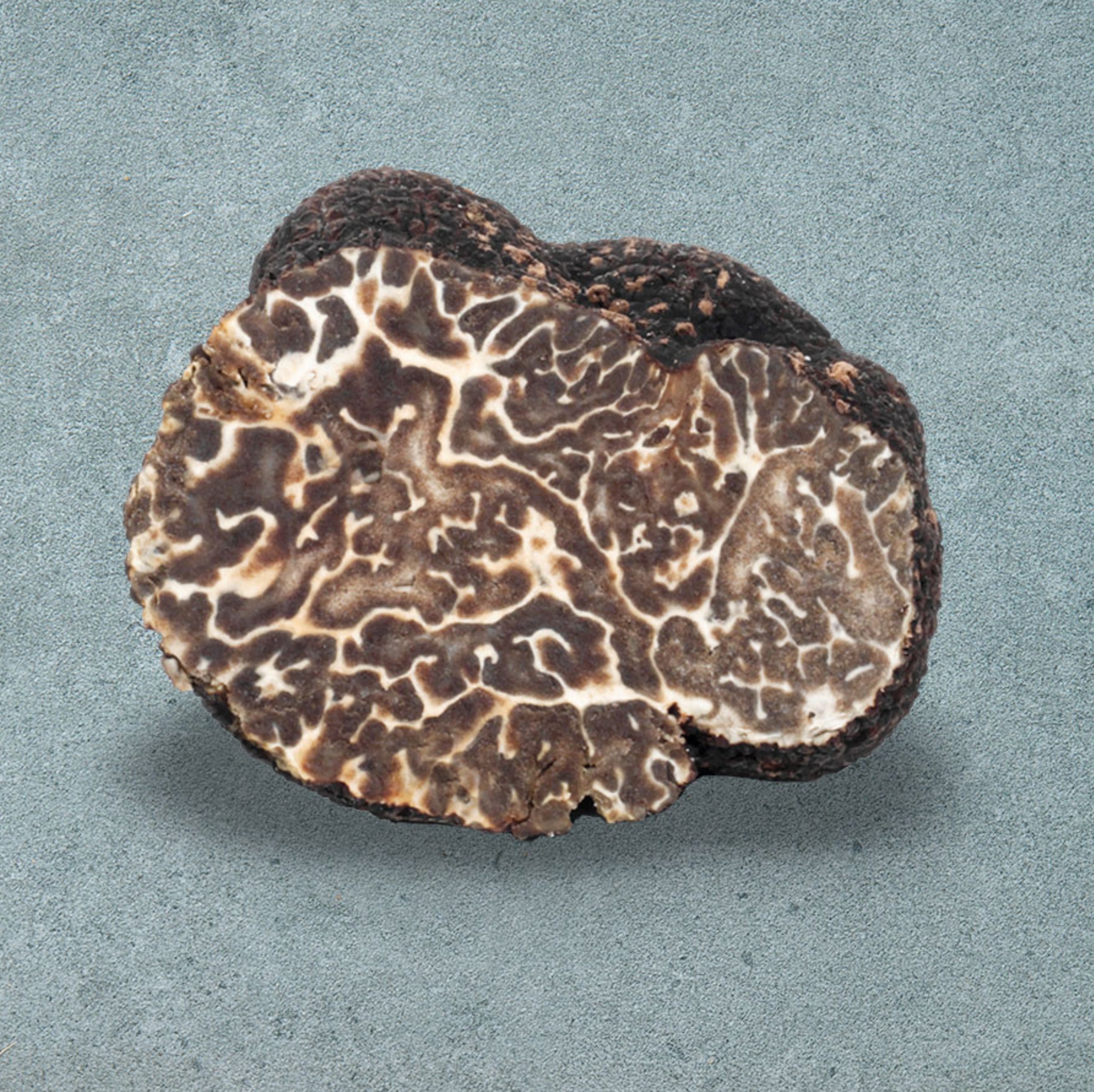 Truffe mésentérique