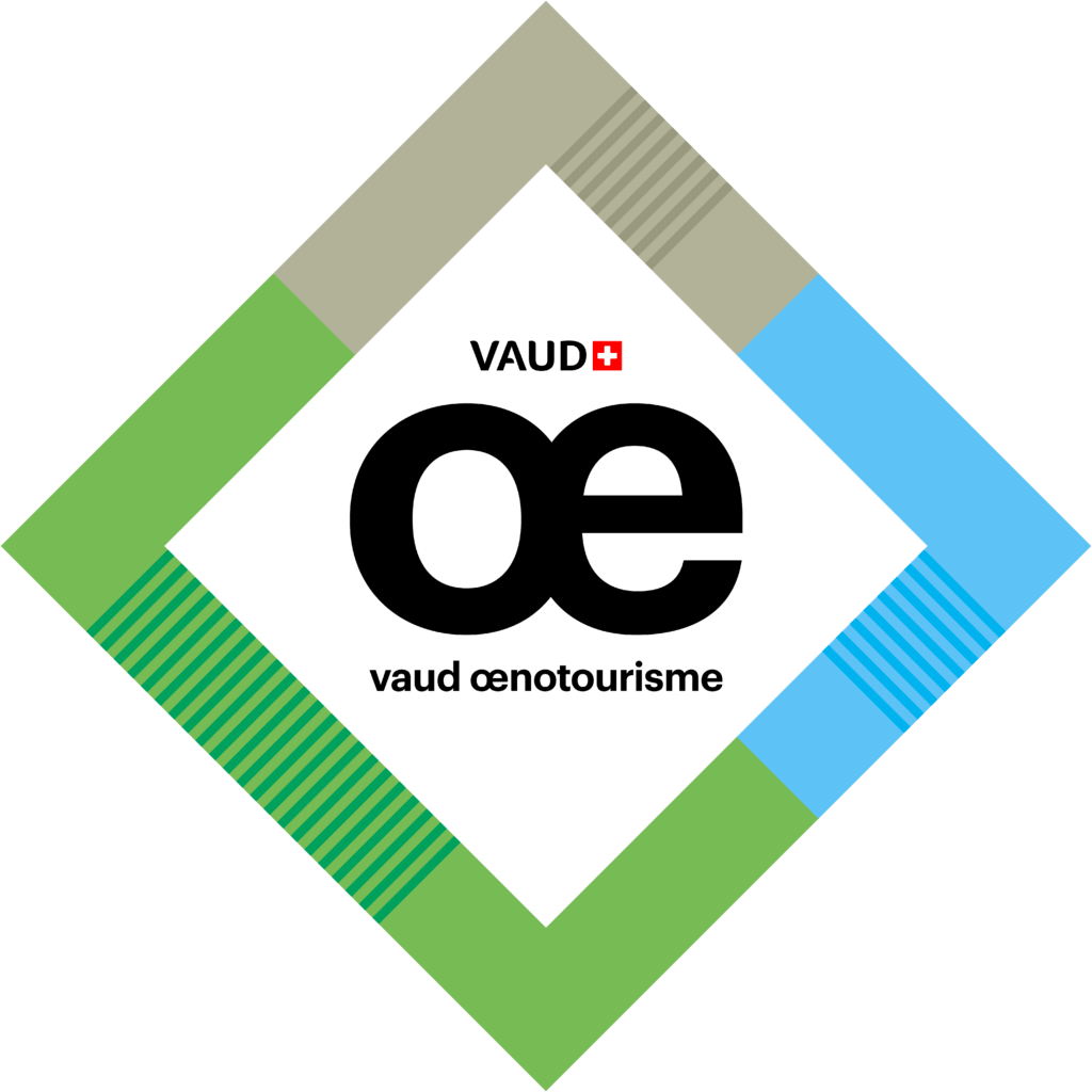 logo voe fond blanc couleur